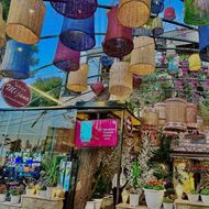 Picture of Mijana Restaurant