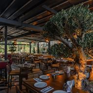 Picture of Chestnut Restaurant & Pub