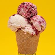Picture of Gerard Ice Cream