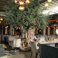 Picture of Alsinior Restaurant