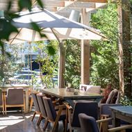 Picture of Boho Haus Jo