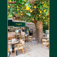 صورة مطعم كابري