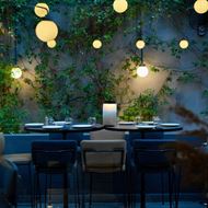 Picture of 13C back club