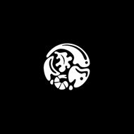 صورة تشايكا