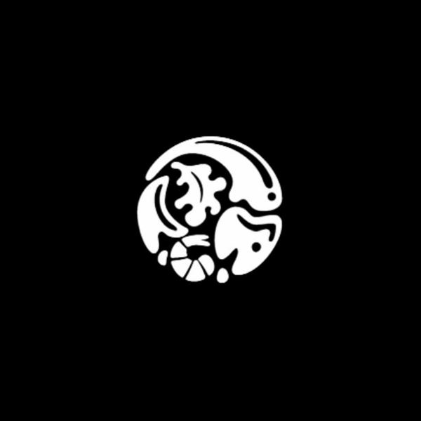 صورة تشايكا